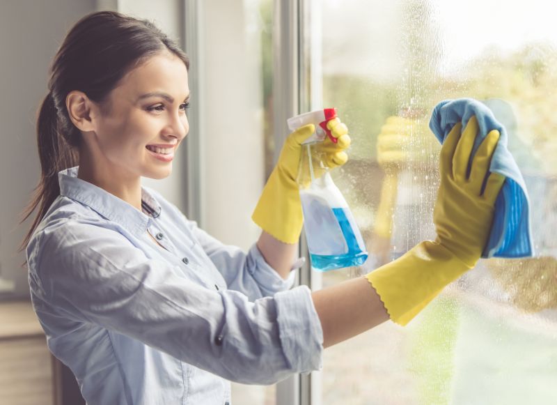 Kitchen Cleaning in Bellevue, WA